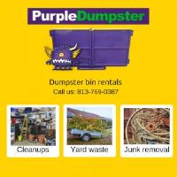 Purple Dumpster image 9